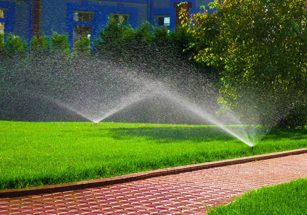 garden watering